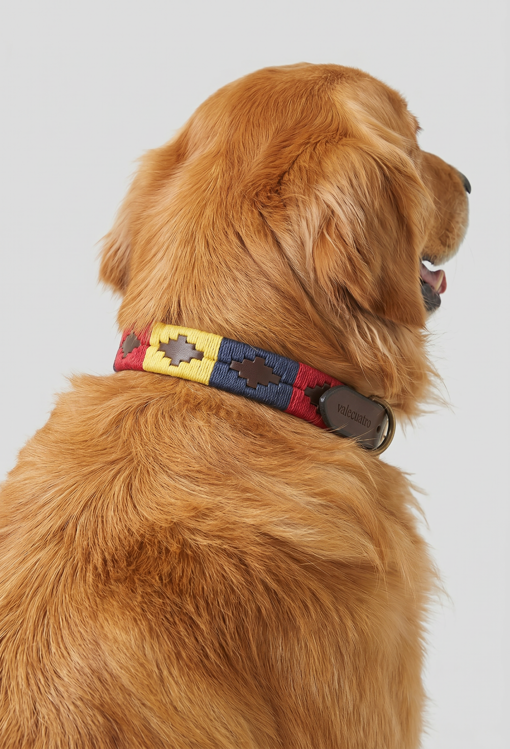 Valecuatro - Collar perro Soyón España. Ancho25mm. Perro grande